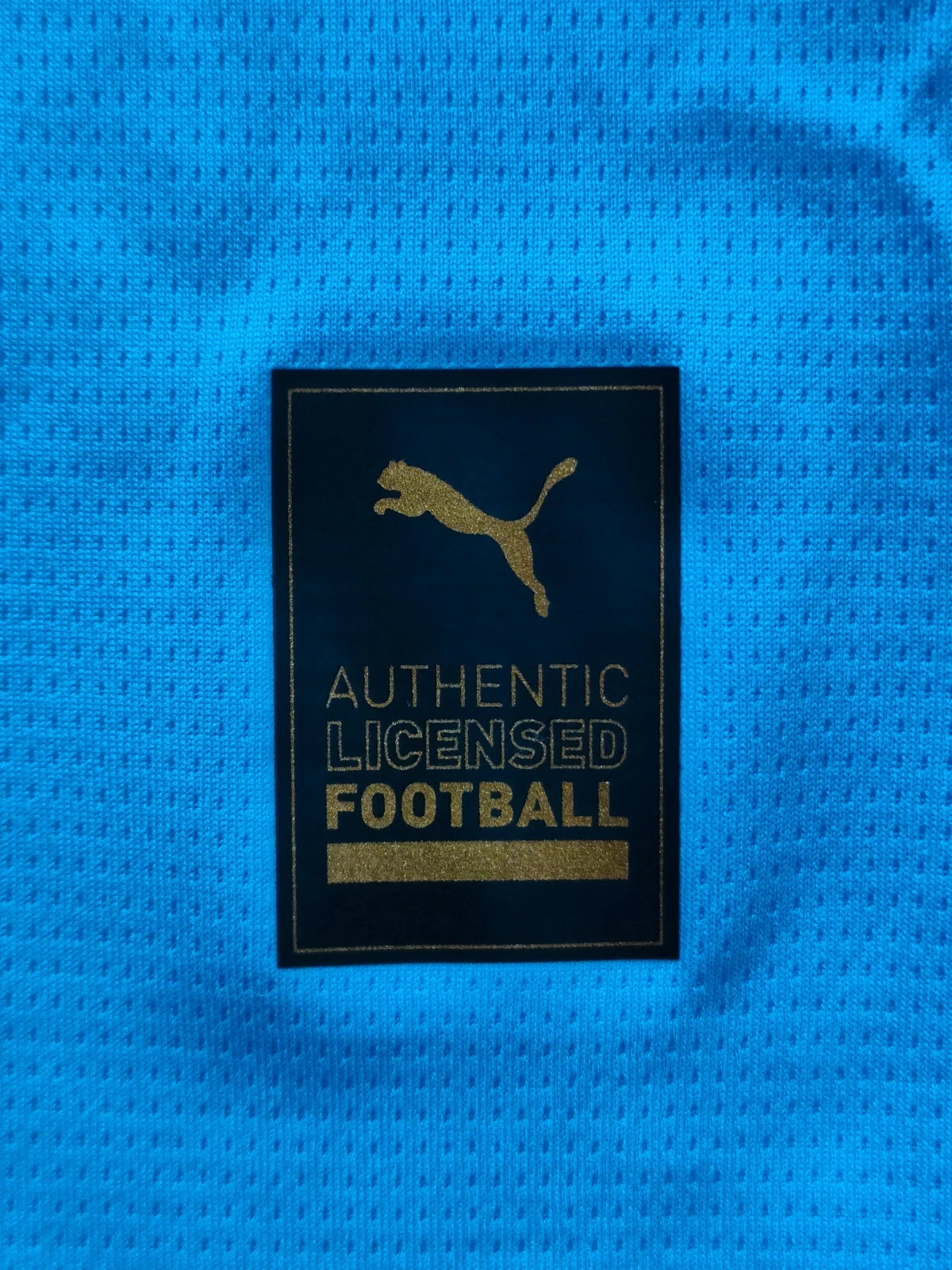 Camiseta de fútbol masculina Puma original Manchester City 2024-25 local nueva Premier – photo 7
